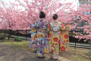お友達と京都の淀水路の桜と振袖